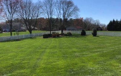 How DryTech Roofing Thanks Our Customers