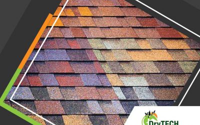 Why a Newly Installed Roof Could Fail