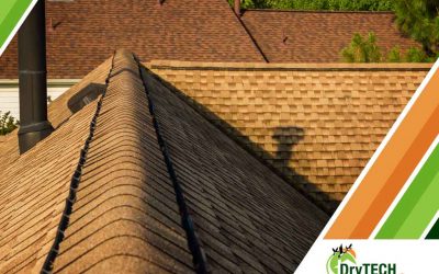 Sustainable Building Material: Why Choose Asphalt Shingles