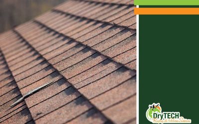 5 Factors to Consider When Choosing a Roofing Material