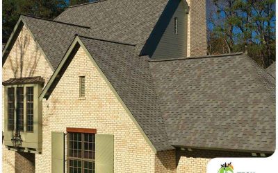 4 Factors That Influence Brand Selection Among Homeowners