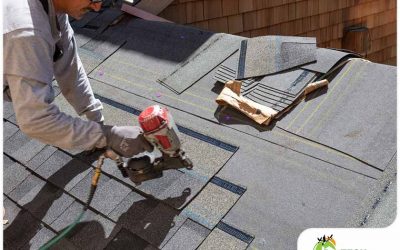 Top 5 Reasons to Leave Roof Repair to Professionals