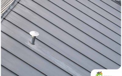 How to Maintain Fiber Cement Siding