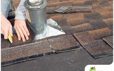 Homeowners’ Guide: What a Leaking Roof Can Do to Your Home