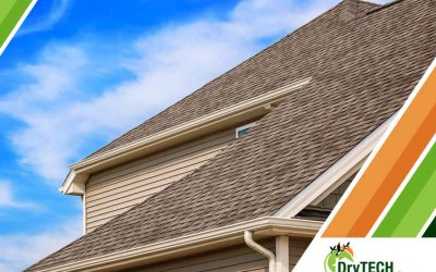 3 Big Benefits of Hiring a Local Roofing Company