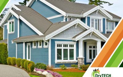 Form or Function? Pick the Window Replacement That Suits You