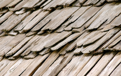 Repair or Replace: Signs of a Failing Roof