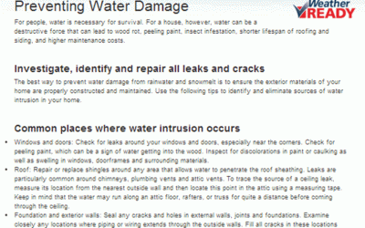 What To Do When Water Damage Hits Your Roof